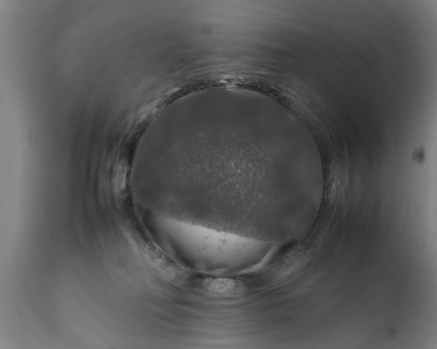 X0000112010230200908171451