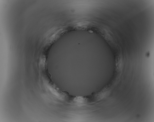 X0000112010231200908171451