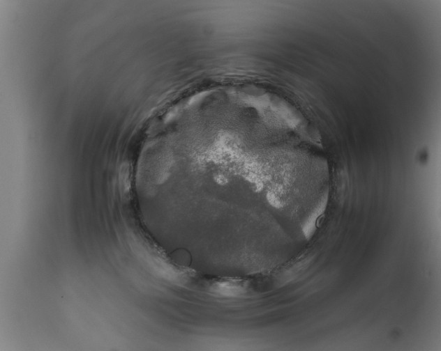 X0000112010232200908171451