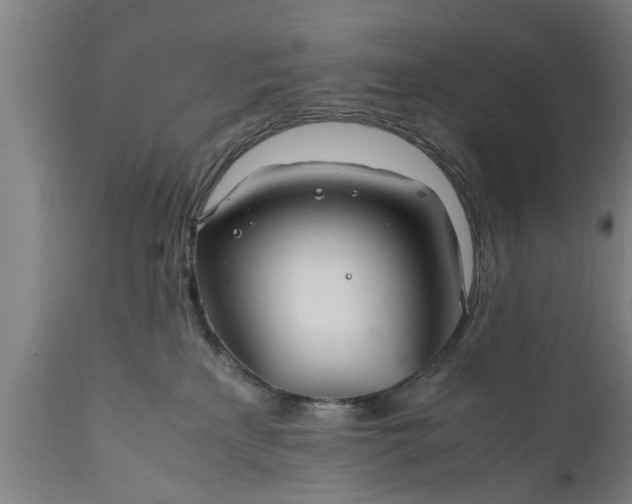 X0000112010233200908171451