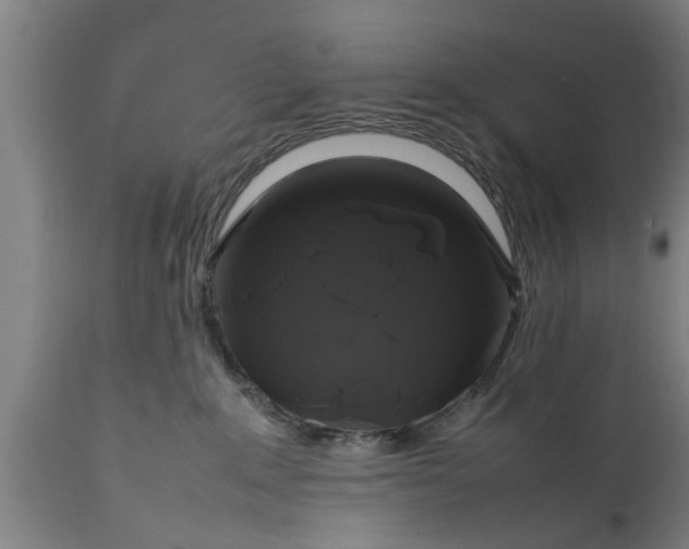 X0000112010235200908171451