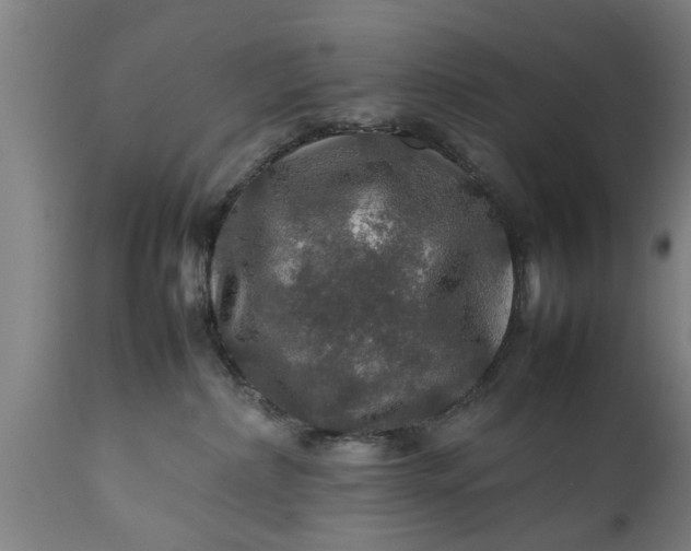 X0000112010236200908171451