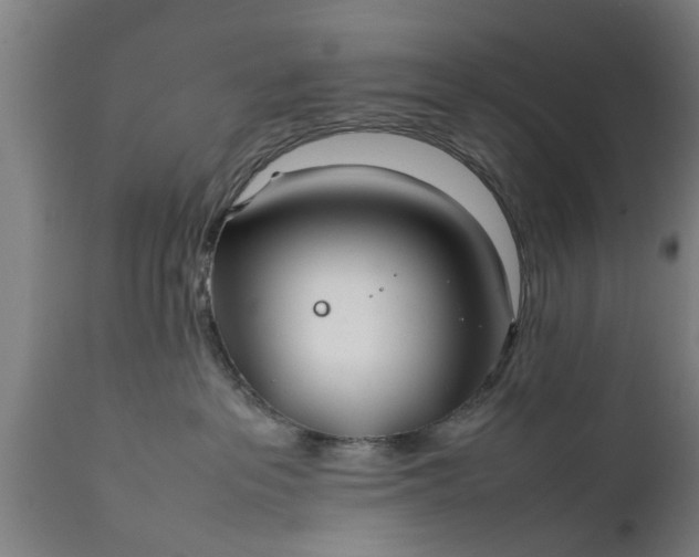 X0000112010237200908171451