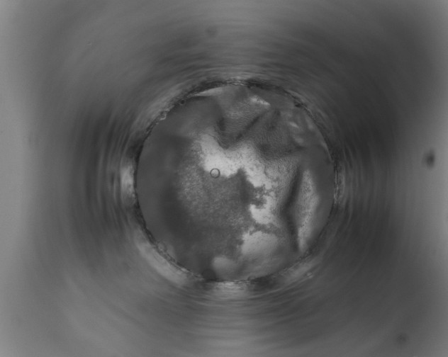 X0000112010238200908171451