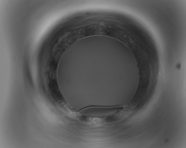 X0000112010239200908171451