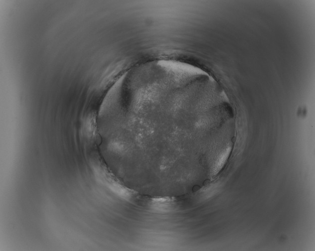 X0000112010240200908171451