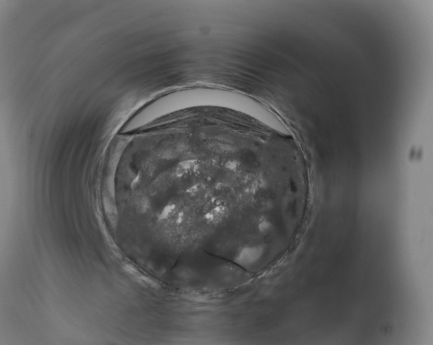 X0000112010241200908171450