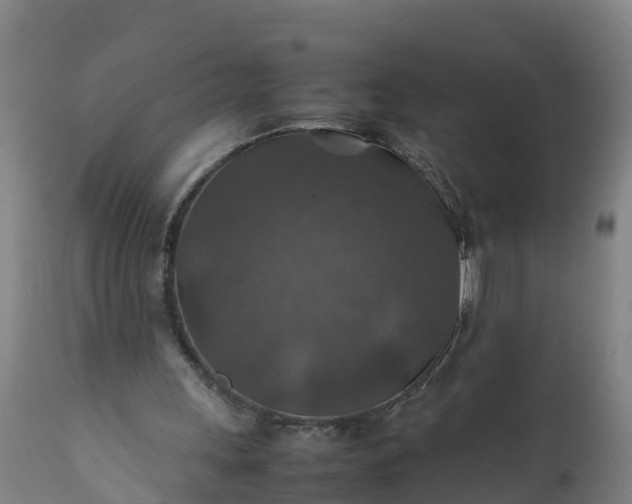 X0000112010243200908171450