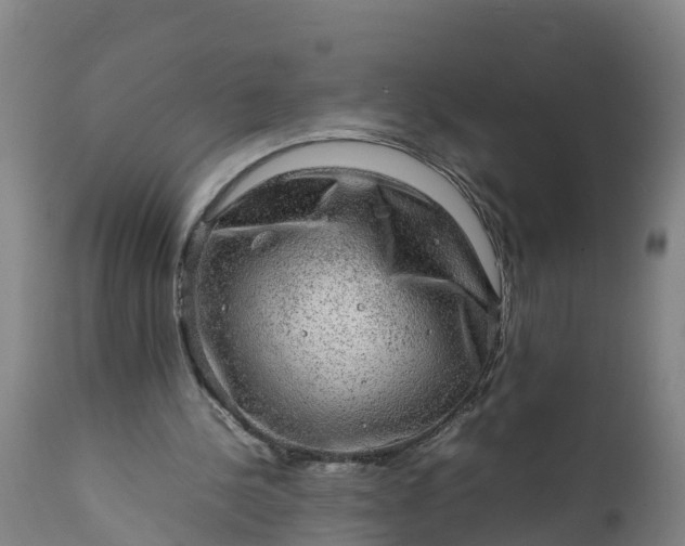 X0000112010244200908171450