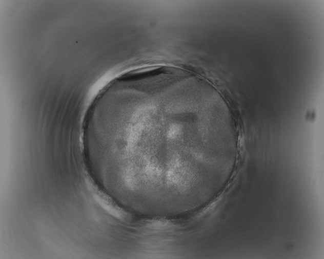 X0000112010246200908171450