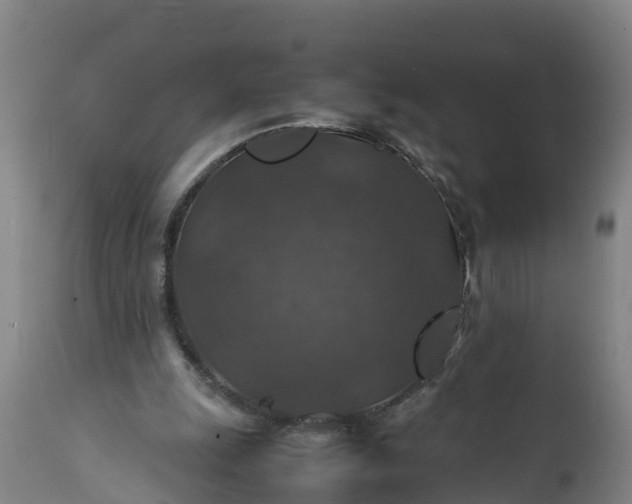 X0000112010247200908171450