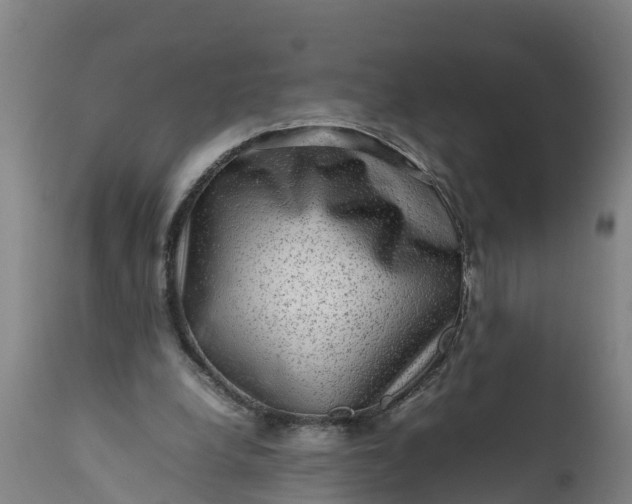 X0000112010248200908171450