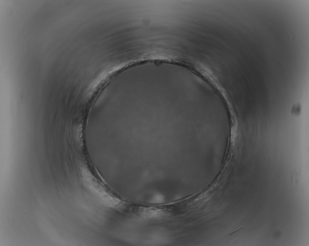 X0000112010249200908171450