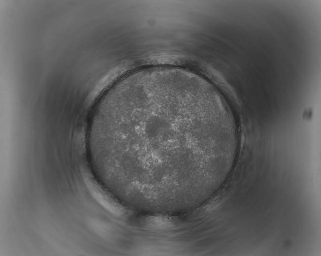 X0000112010250200908171450