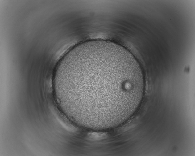 X0000112010251200908171450