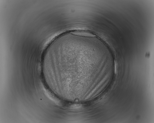 X0000112010252200908171450