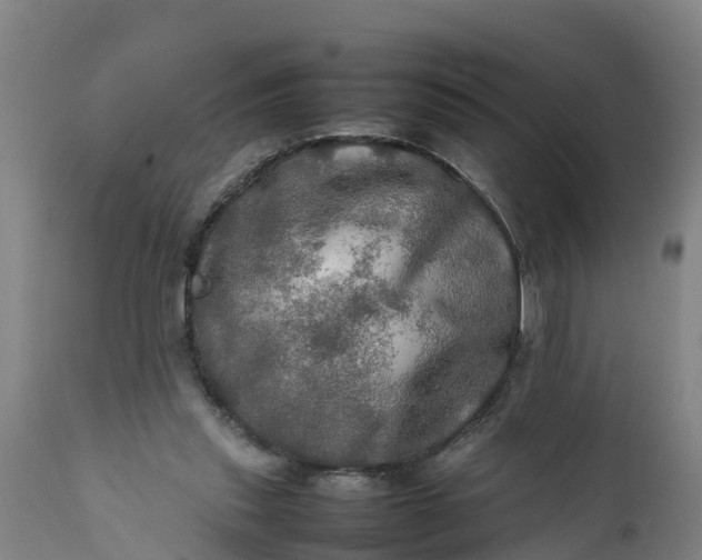 X0000112010253200908171450