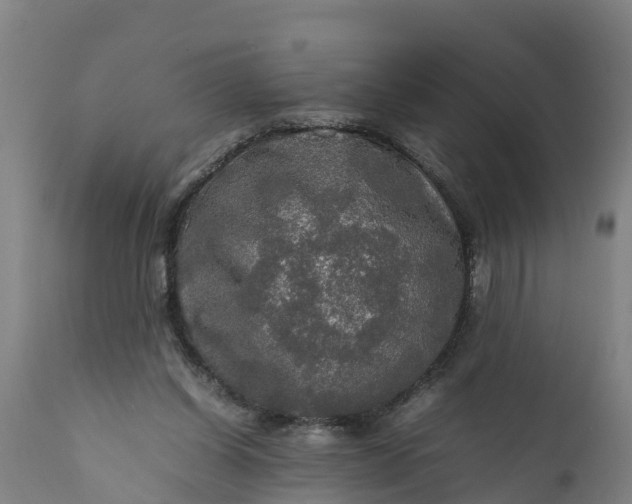 X0000112010254200908171450