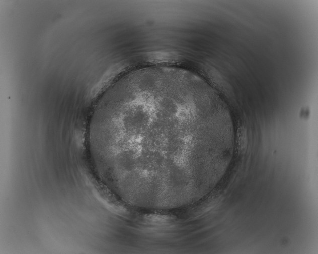 X0000112010255200908171450