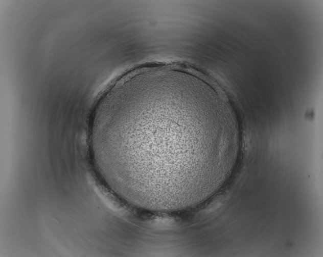 X0000112010256200908171450