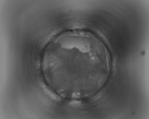 X0000112010257200908171450