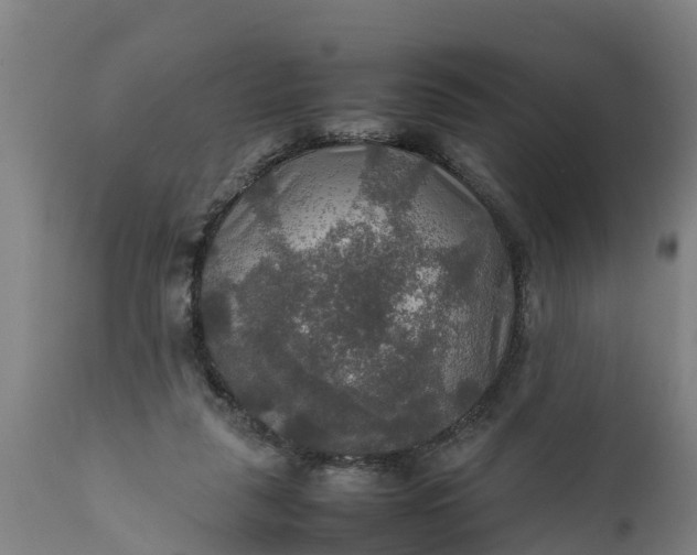 X0000112010259200908171450