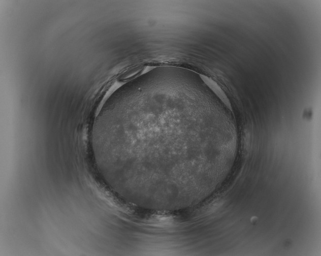 X0000112010260200908171450