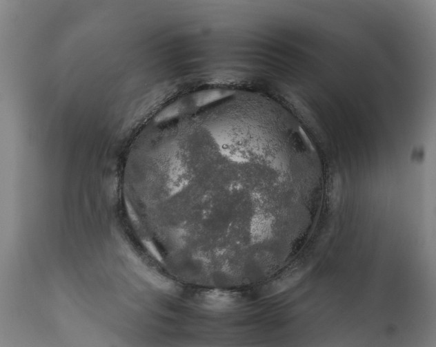 X0000112010261200908171450