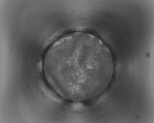 X0000112010262200908171450