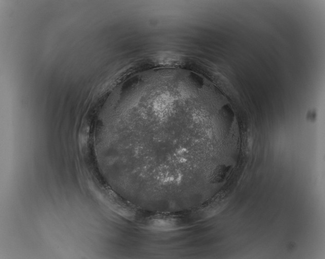 X0000112010263200908171450