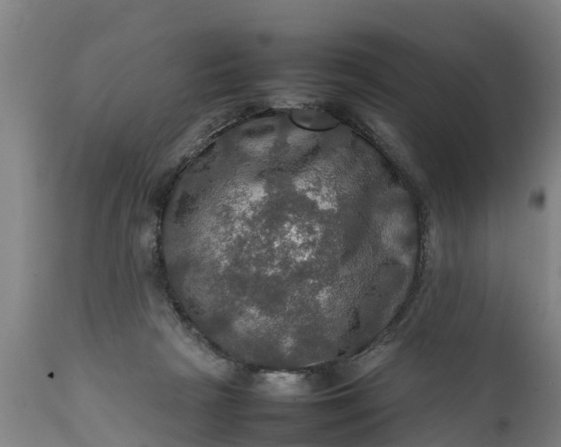 X0000112010265200908171450