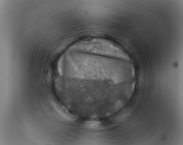 X0000112010266200908171450