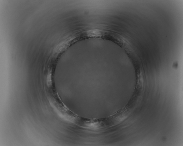 X0000112010267200908171450