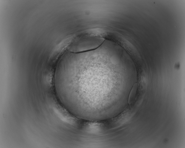 X0000112010268200908171450