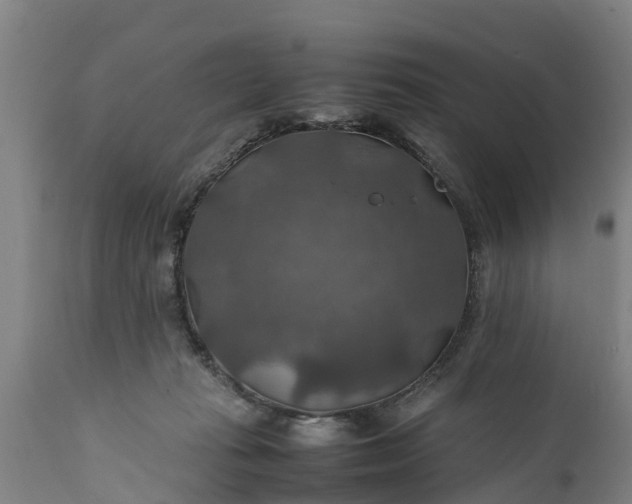 X0000112010269200908171450