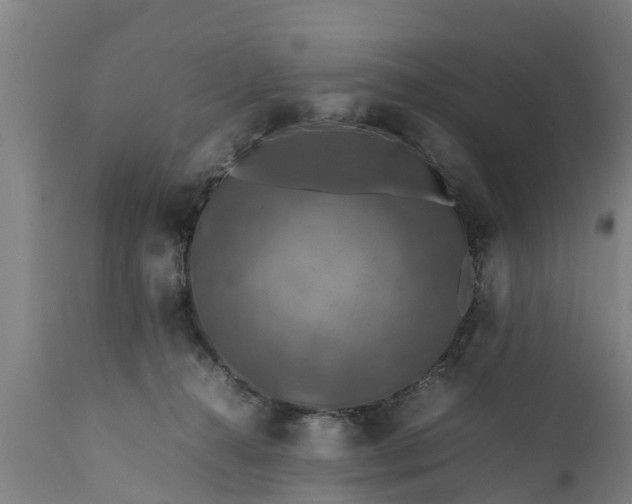 X0000112010272200908171450