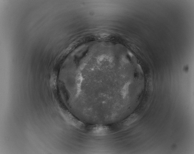 X0000112010274200908171450