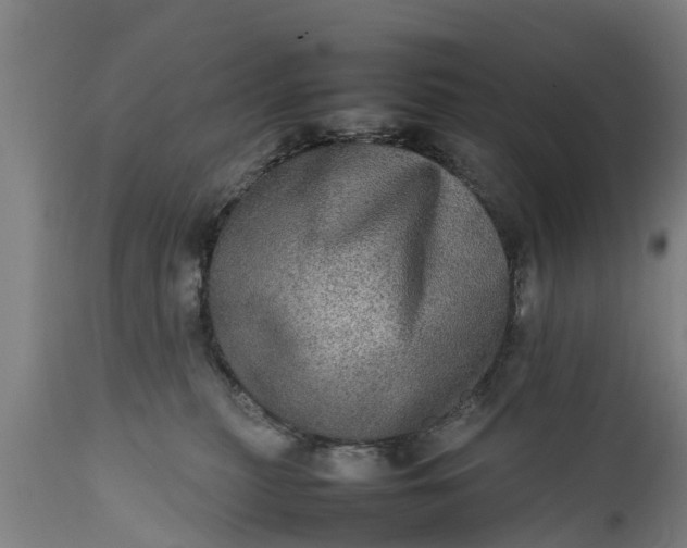 X0000112010279200908171450