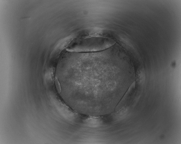 X0000112010280200908171450