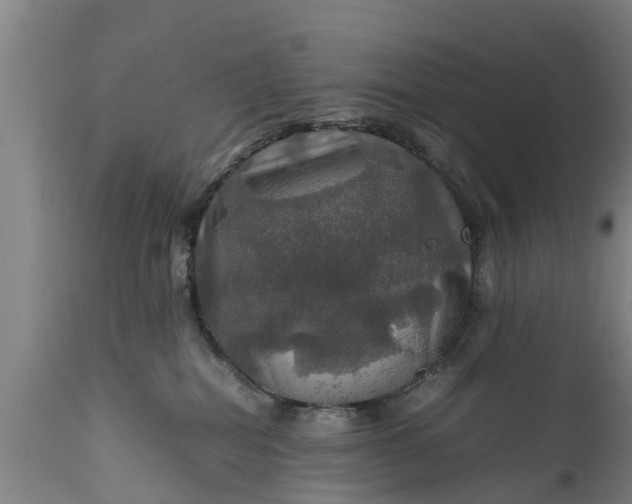 X0000112010282200908171450