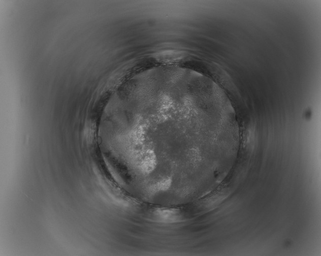 X0000112010283200908171450