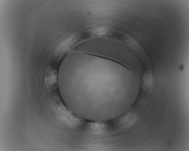 X0000112010284200908171450