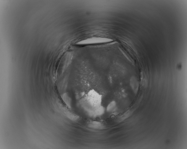 X0000112010285200908171450