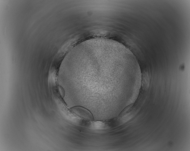 X0000112010287200908171450