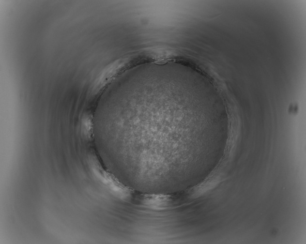 X0000112010288200908171451