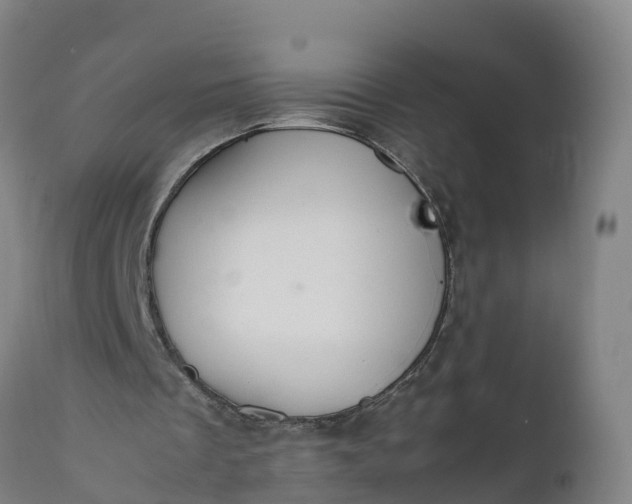 X0000112010289200908171450