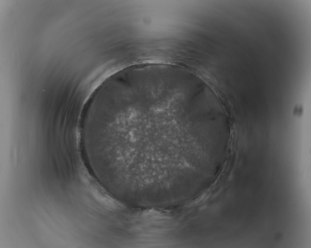 X0000112010290200908171450