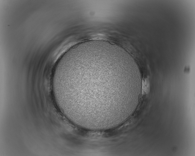 X0000112010291200908171450