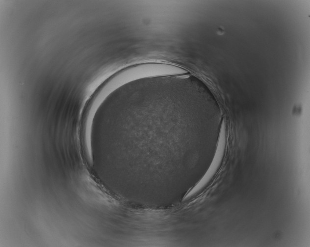 X0000112010292200908171450