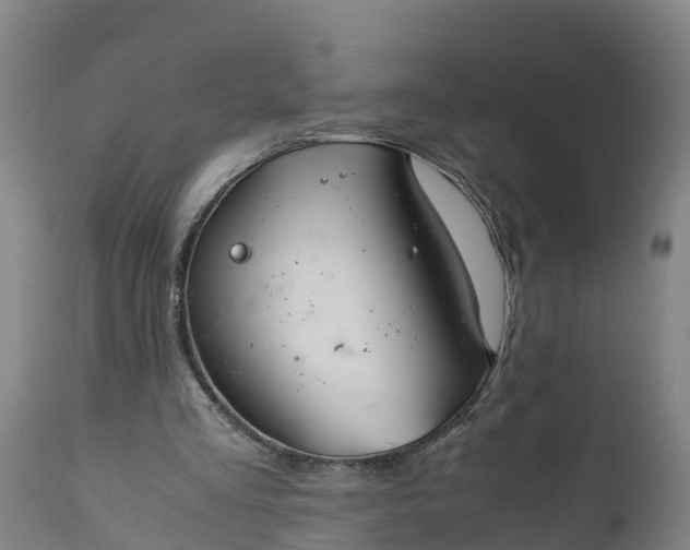 X0000112010293200908171450